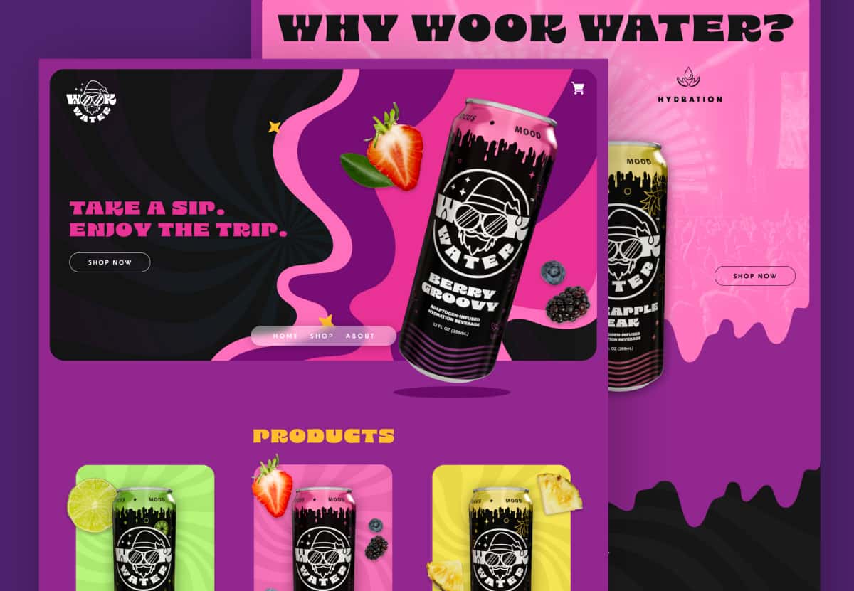 wook water case study